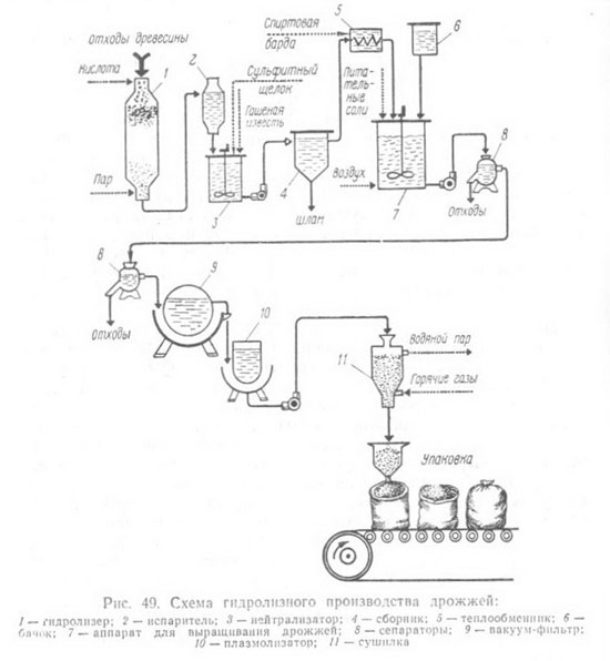 Схема гидролизного производства дрожжей