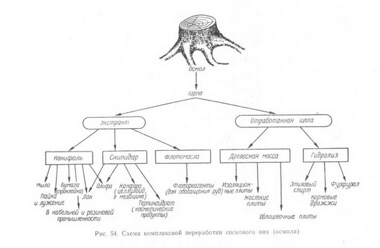 Схема комплексной переработки соснового пия ( осмола)